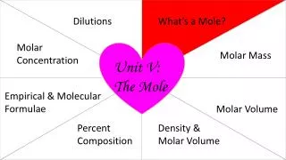 Unit V: The Mole