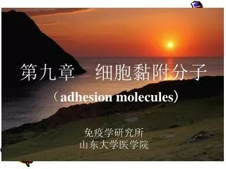 adhesion molecules