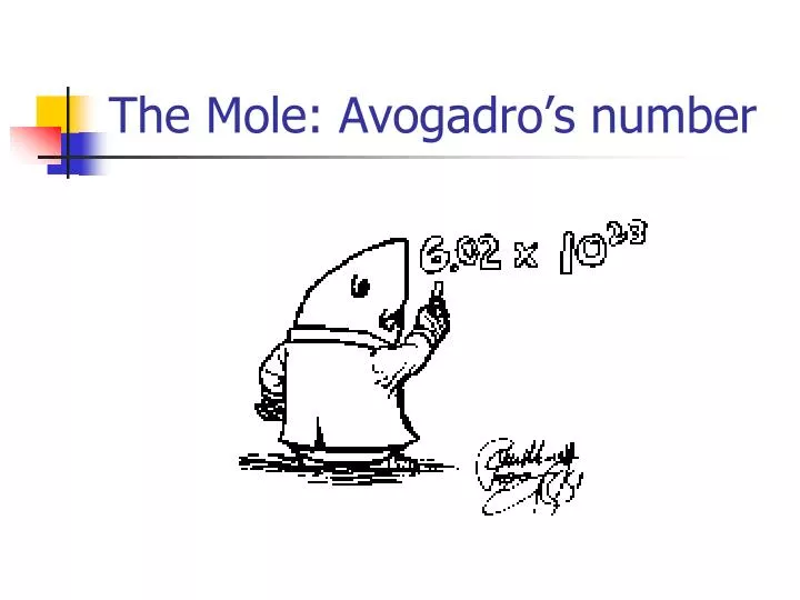 the mole avogadro s number