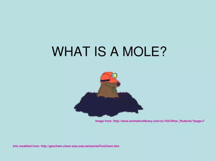 what is a mole