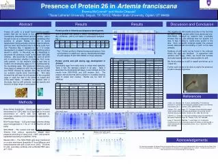 Presence of Protein 26 in Artemia franciscana Brenna McConnell 1 and Nicole Okazaki 2