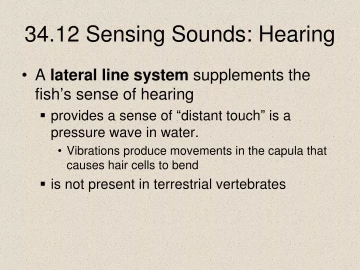 34 12 sensing sounds hearing