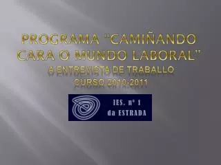 programa cami ando cara o mundo laboral