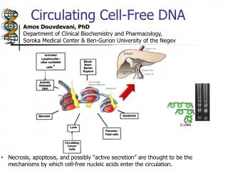 Circulating Cell-Free DNA