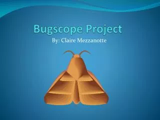 Bugscope Project