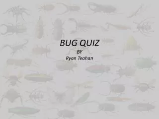 BUG QUIZ BY Ryan Teahan
