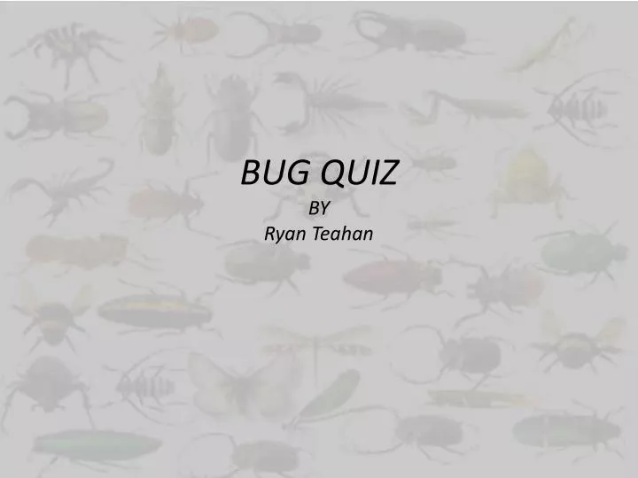 bug quiz by ryan teahan
