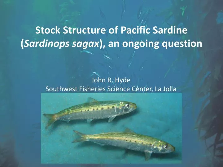 stock structure of pacific sardine sardinops sagax an ongoing question