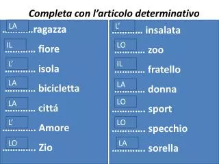 completa con l articolo determinativo