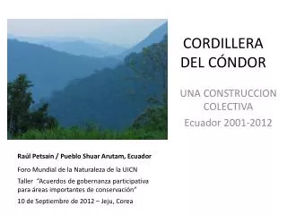 cordillera del c ndor