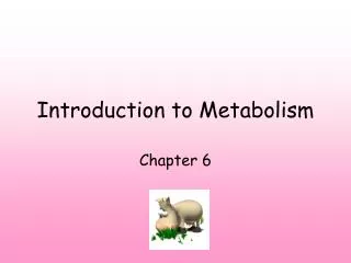 PPT - Introduction To Metabolism PowerPoint Presentation, Free Download ...