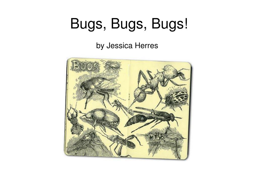 PPT - Bugs, Bugs, Bugs! PowerPoint Presentation, free download - ID:5468144