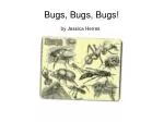 Bugs, Bugs, Bugs! - slide 1