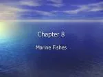 Chapter 8 - slide 1
