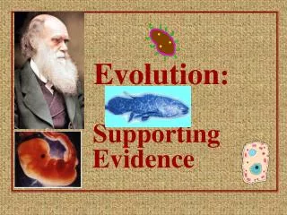 Evolution :