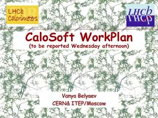 CaloSoft WorkPlan (to be reported Wednesday afternoon)