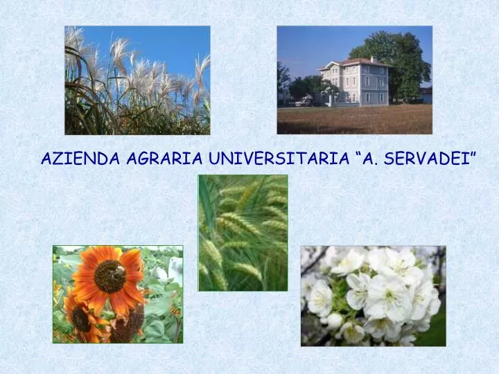 azienda agraria universitaria a servadei