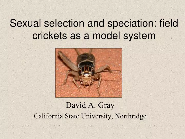 sexual selection and speciation field crickets as a model system