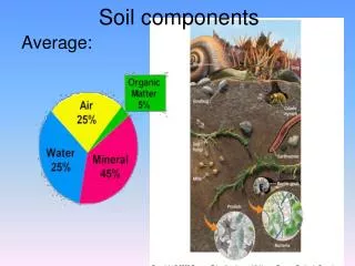 Soil components
