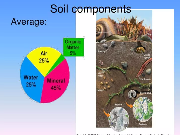 soil components
