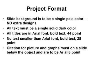 Project Format