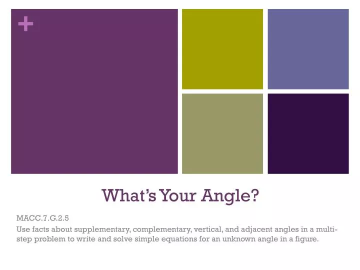 what s your angle