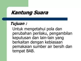 kantung suara