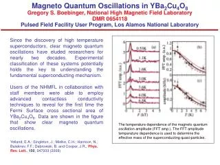The temperature dependence of the magneto quantum