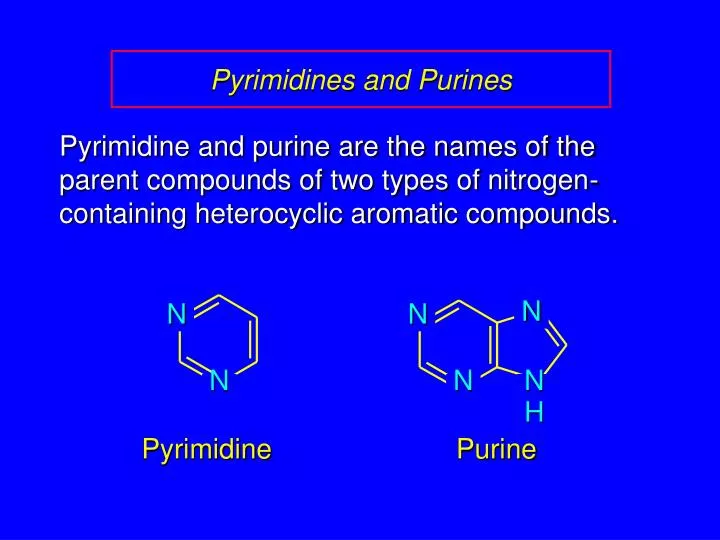 pyrimidines and purines
