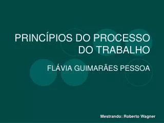 princ pios do processo do trabalho