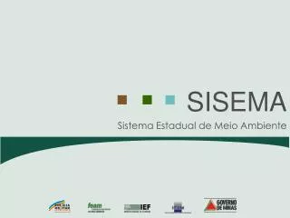sistema estadual de meio ambiente