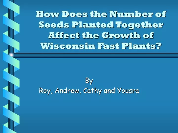 how does the number of seeds planted together affect the growth of wisconsin fast plants