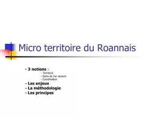 micro territoire du roannais