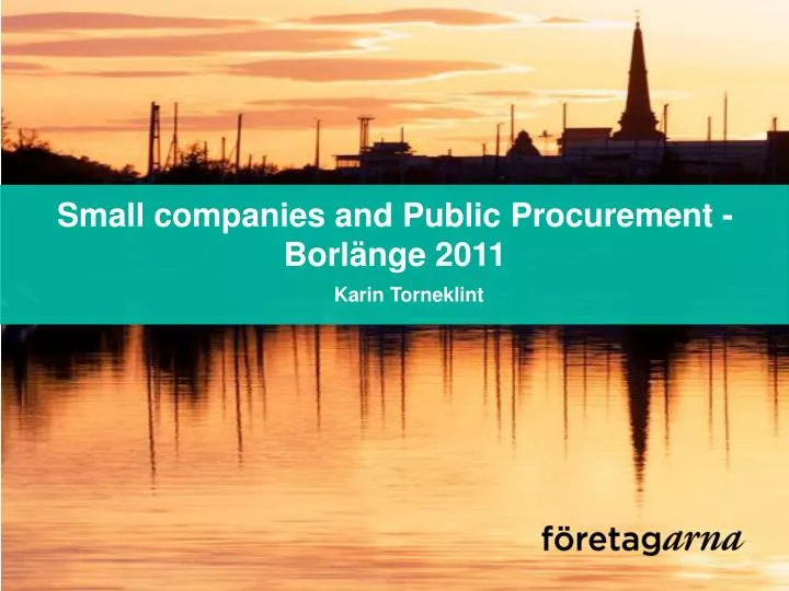 small companies and public procurement borl nge 2011