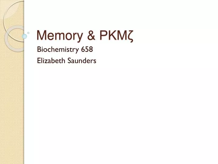 memory pkm