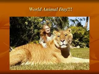 World Animal Day !!!