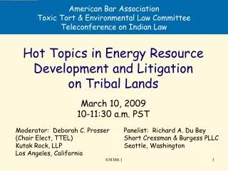 American Bar Association Toxic Tort &amp; Environmental Law Committee Teleconference on Indian Law