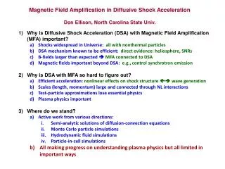 Magnetic Field Amplification in Diffusive Shock Acceleration
