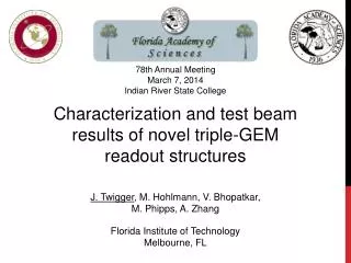 Characterization and test beam results of novel triple-GEM readout structures