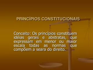 princ pios constitucionais