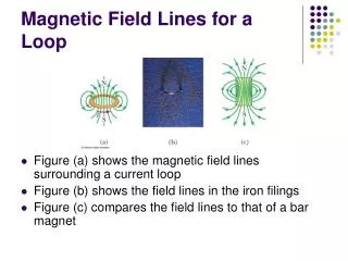 Magnetic Field Lines for a Loop