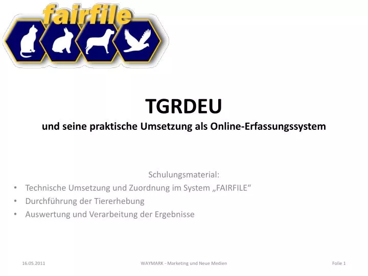 tgrdeu und seine praktische umsetzung als online erfassungssystem