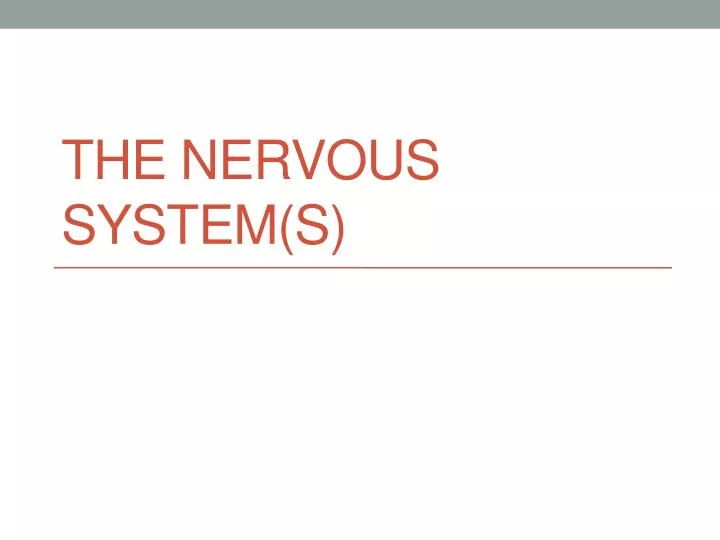 the nervous system s