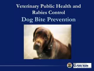 Veterinary Public Health and Rabies Control Dog Bite Prevention