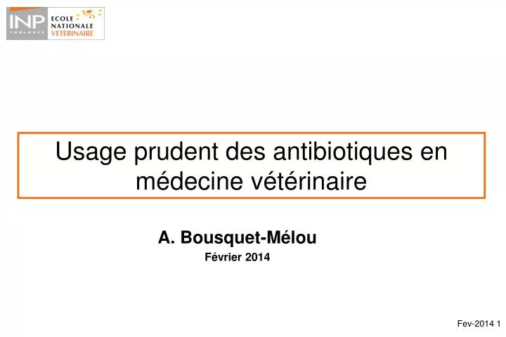 usage prudent des antibiotiques en m decine v t rinaire