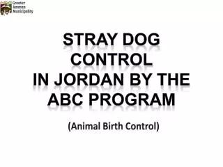 Stray dog CONTROL IN JORDAN BY THE ABC PROGRAM