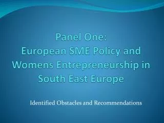 Panel One: European SME Policy and Womens Entrepreneurship in South East Europe