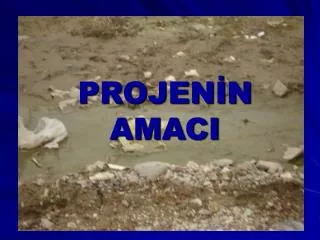 projen n amaci