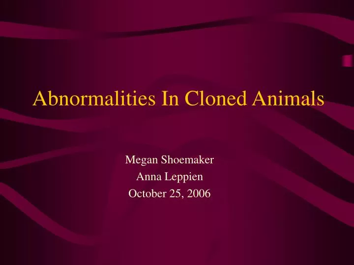 abnormalities in cloned animals