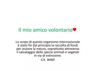 il mio amico volontario